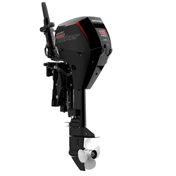 OUTBOARD_FOR_SALE_8-1.jpg 2020 Mercury 15 HP EFI 15ELHPT-CT-PK Outboard Motor - Image 1